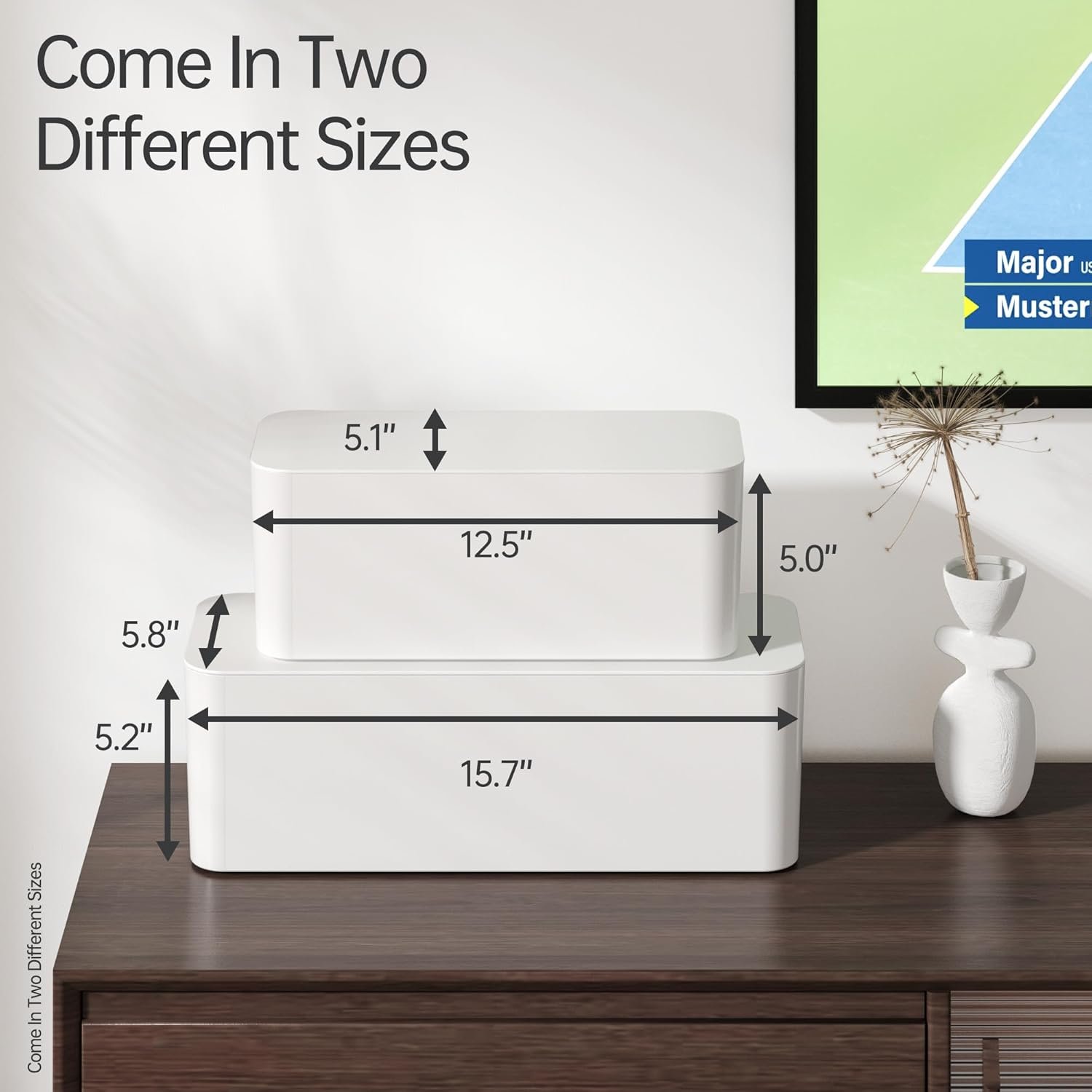 TIESELX Cable Management Box dimensions - Large 15.7x5.8x5.2 inches and Medium 12.5x5.1x5.0 inches